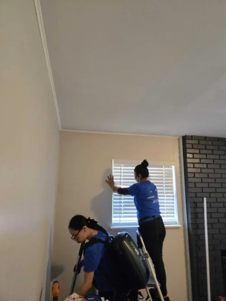 Residential and Commercial Cleaning